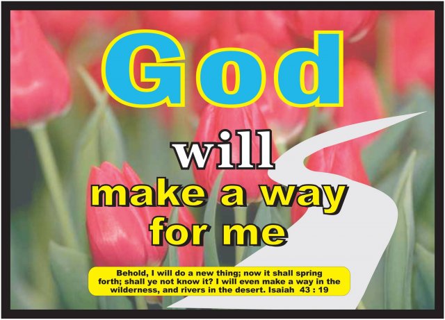 Photos