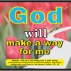 Photos